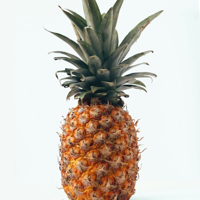 PINEAPPLE