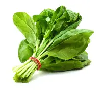 Spinach