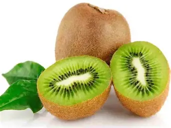 KIWI