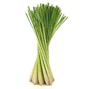 LEMONGRASS