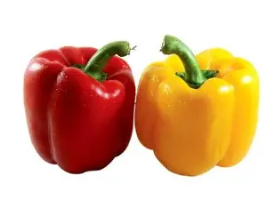 RED YELLOW CAPSICUM