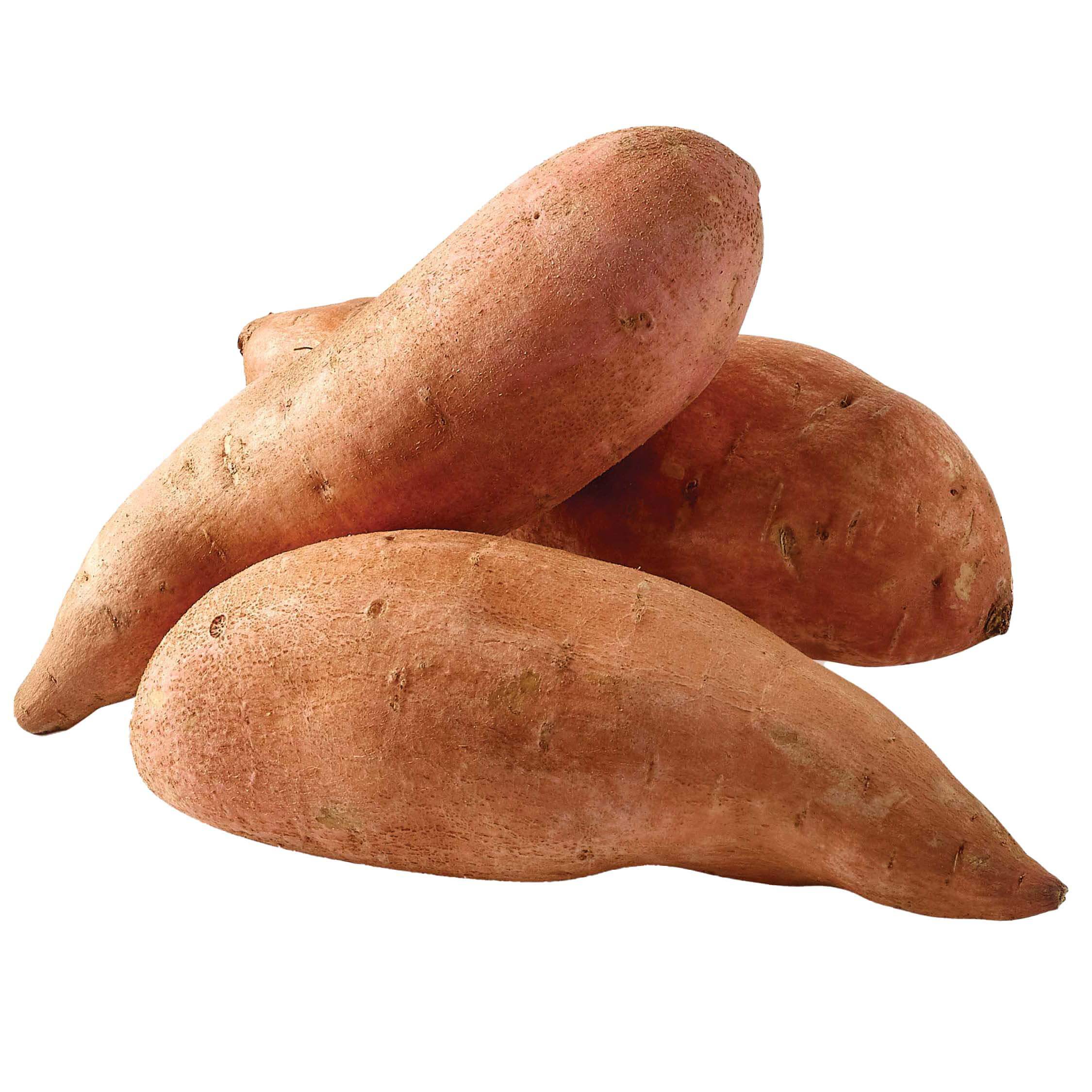 SWEET POTATO