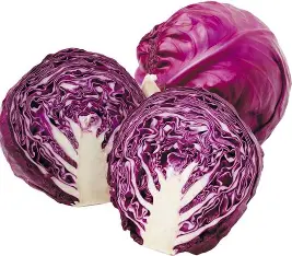 RED CABBAGE