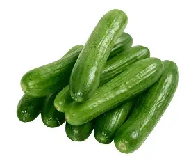 GREEN CUCUMBER