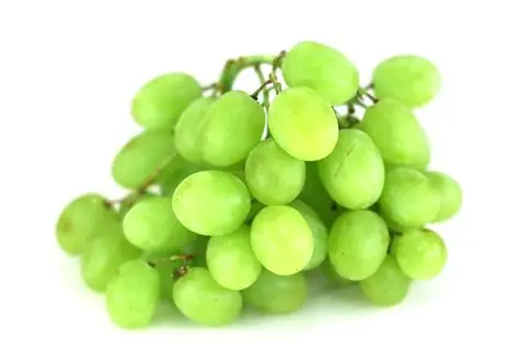 GRAPES
